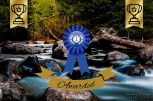 Read more about the article Award for Treasure Mountain Spring Photo