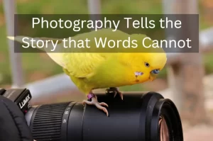 Read more about the article Photography Tells the Story That Words Cannot