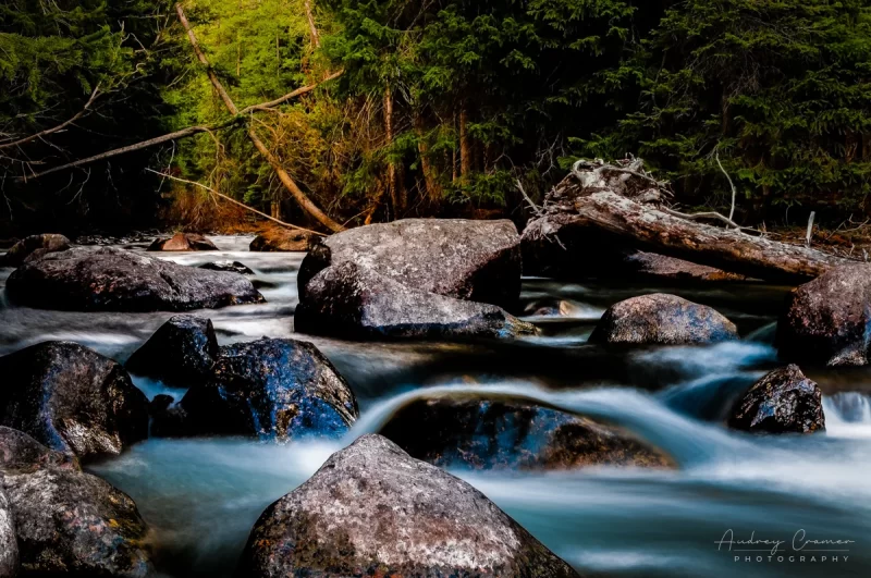 Quality landscape silky water spring with trees and rocks professionally photographed by Audrey Cramer Photography near Alta, Wyoming