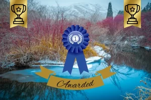 Read more about the article My Winter Stream Photograph Just Won an Award!!!