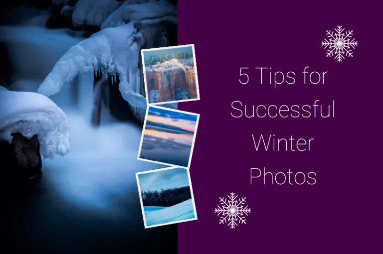 Read more about the article 5 Tips for Successful Winter Photos