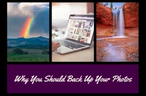 Read more about the article Why You Should Back Up Your Photos