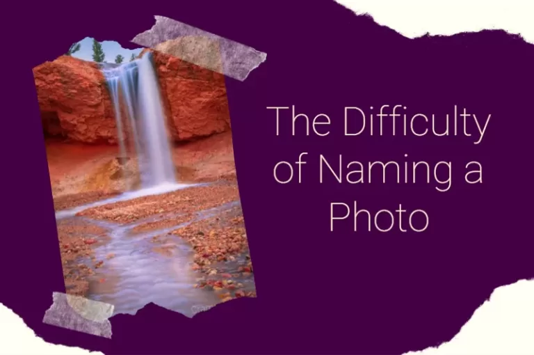 Read more about the article The Difficulty of Naming a Photo