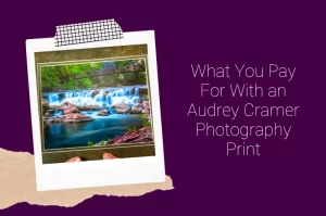 Read more about the article What You Pay for with an Audrey Cramer Photography Print