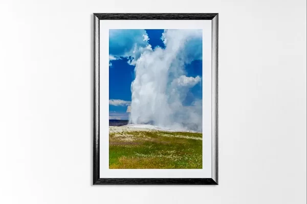 Photograph of Audrey Cramer Photography's landscape photo "Old Faithful with Wildflowers" in a black picture frame