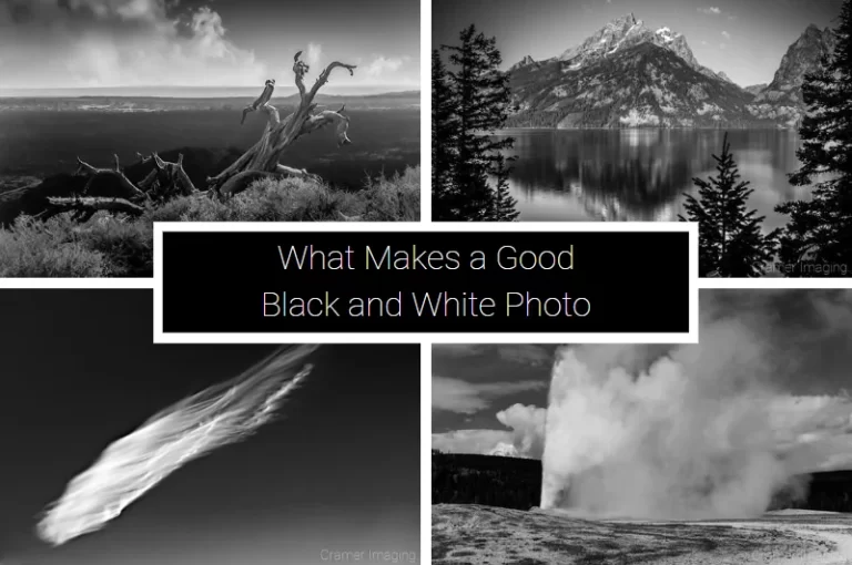 Read more about the article What Makes a Good Black and White Photo