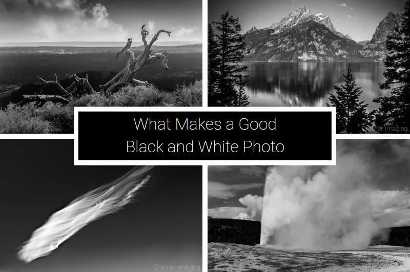 What Makes a Good Black and White Photo