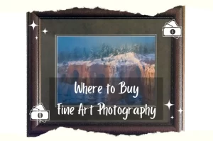 Read more about the article Where to Buy Fine Art Photography