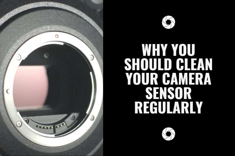 Why You Should Clean Your Camera Sensor Regularly