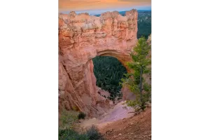 Natural Bridge