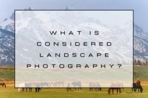 Read more about the article What is Considered Landscape Photography?