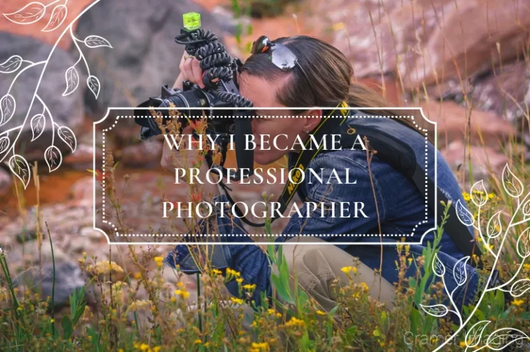 Read more about the article Why I Became a Professional Photographer