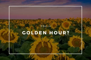 Read more about the article What is ‘Golden Hour’?