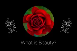 Read more about the article What is Beauty?