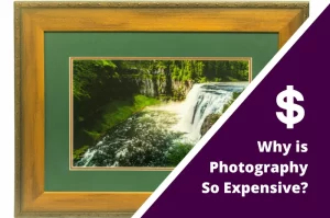 Read more about the article Why is Photography So Expensive?