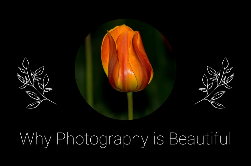 Read more about the article Why Photography is Beautiful