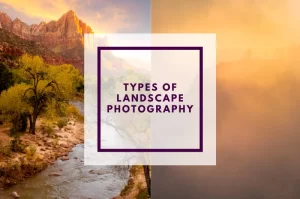 Read more about the article Types of Landscape Photography