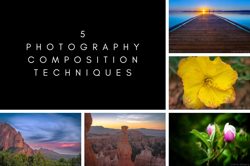 5 Photography Composition Techniques