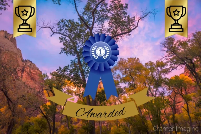 Read more about the article Award for Fall Trees Landscape Photo