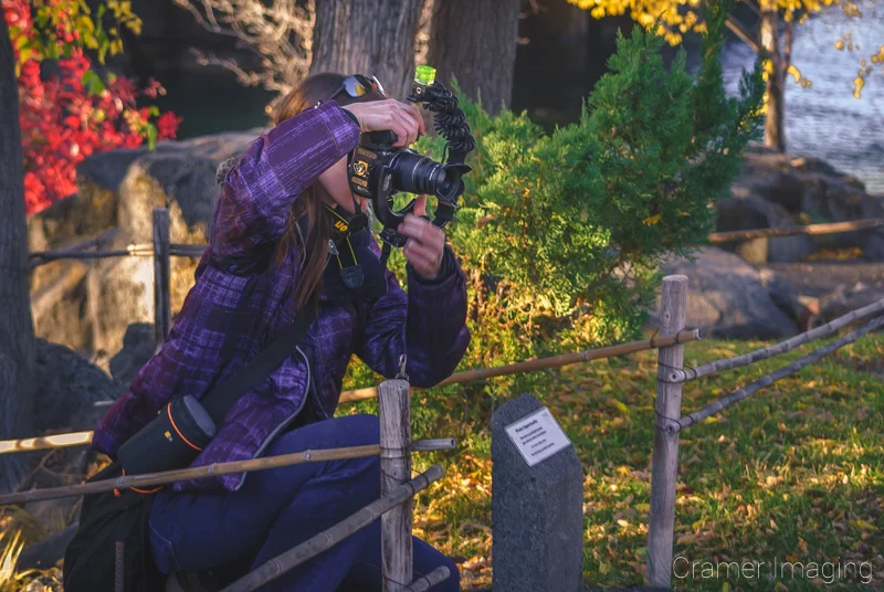 Landscape photographer Audrey Cramer shooting photos of autumn or fall leaves