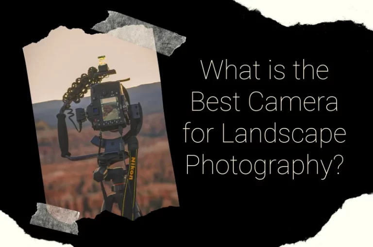 Read more about the article What is the Best Camera for Landscape Photography?