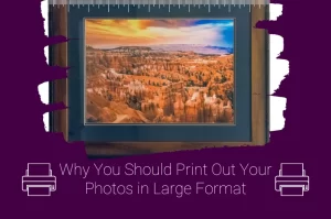 Read more about the article Why You Should Print Out Your Photos in Large Format