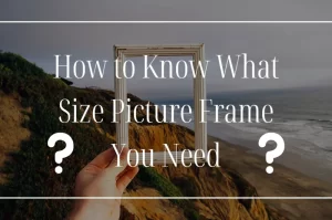 Read more about the article How to Know What Size Picture Frame You Need