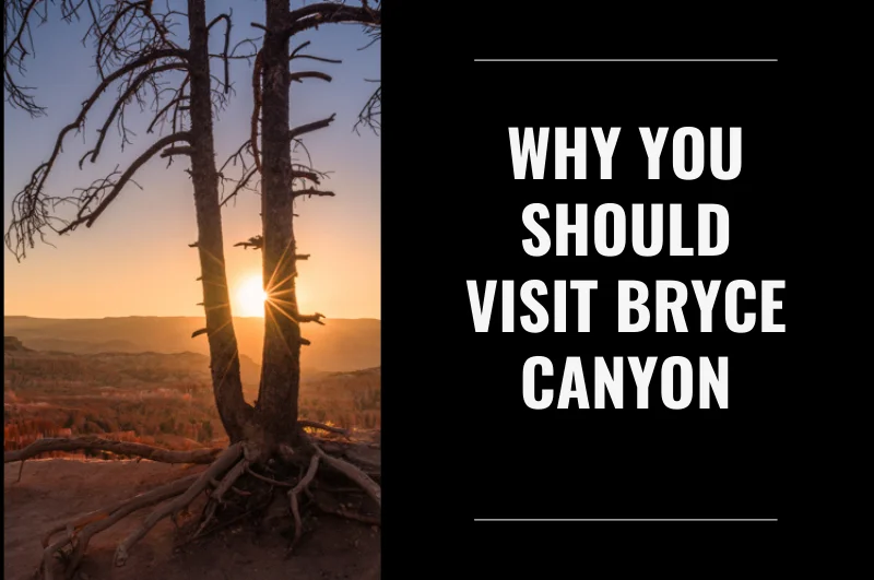 Why You Should Visit Bryce Canyon