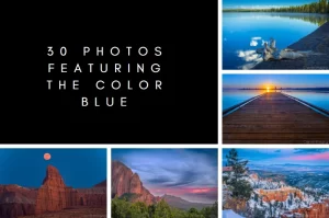 Read more about the article 30 Photos Featuring the Color Blue