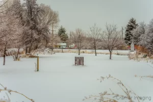 Photograph of the backyard view we have out our window during winter: picturesque but not photogenic