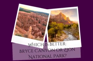 Read more about the article Which is Better: Bryce Canyon or Zion National Park?