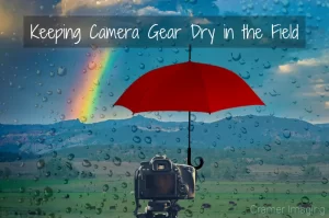 Read more about the article Keeping Camera Gear Dry in the Field