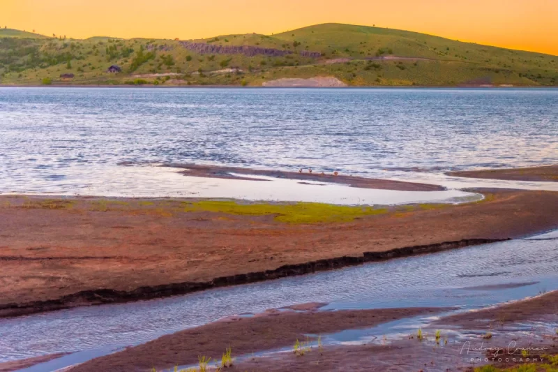 Fine art landscape photograph of Panguitch Lake Utah with ducks at sunset by Audrey Cramer Photography