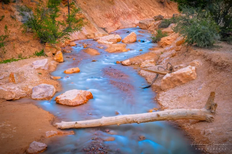 Fine art landscape photograph of silky water in the Tropic ditch stream at Bryce Canyon National Park Utah by Audrey Cramer Photography