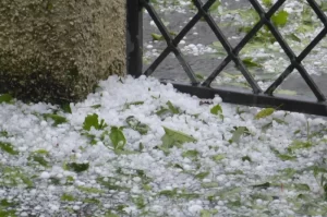 Photograph of hail piled up on the ground with green leaves mixed in