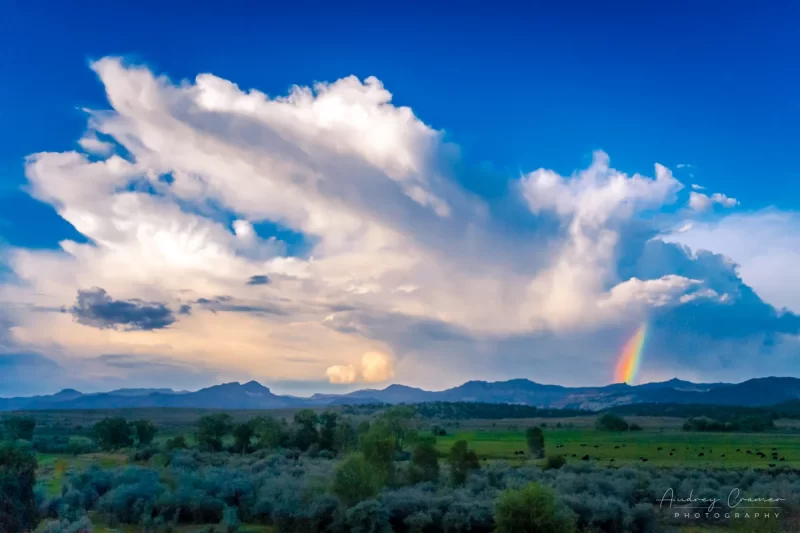 Audrey Cramer Photography's fine art landscape photograph of a rainbow displayed against a dramatic monsoon cloudscape in rural Utah