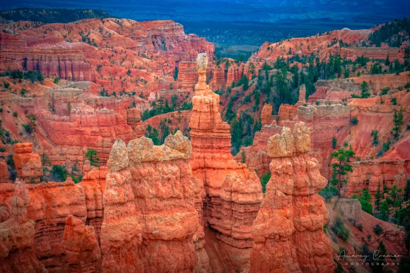 Audrey Cramer Photography's fine art landscape photograph of hoodoos arranged at Fairyland Bryce Canyon National Park Utah