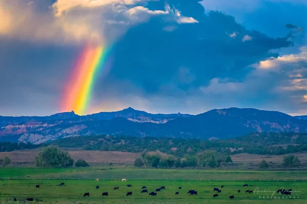 Cramer Imaging's fine art landscape photograph of a rainbow arc appearing over mountains and a rural cattle field in Utah