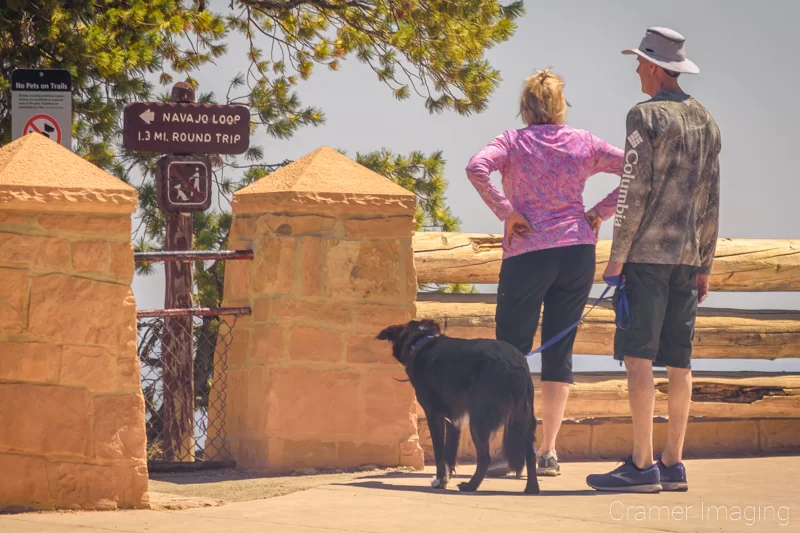 Photograph of a black large dog in Bryce Canyon National Park Utah