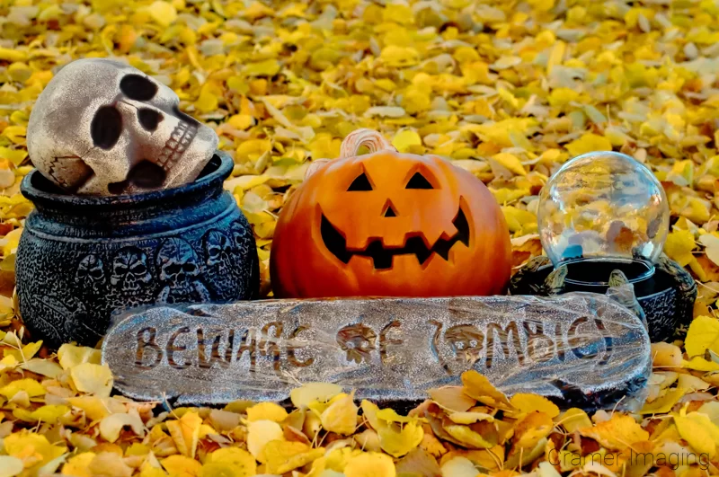 Audrey Cramer Photography's professionally photographed Halloween theme with cauldron, skull, jack-o-lantern, crystal ball, zombie sign, and fall leaves