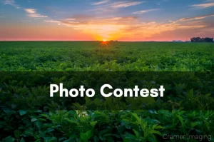 Photo contest header image