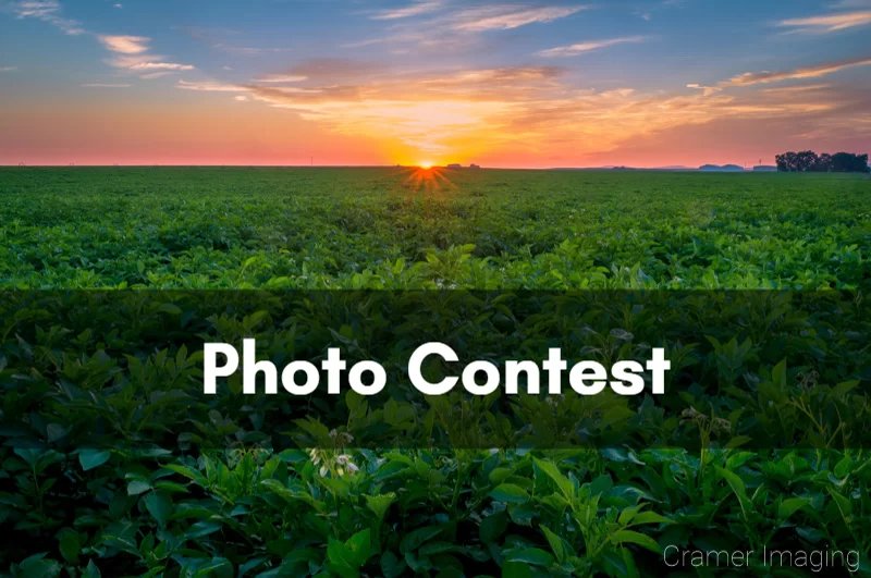 Why You Should Consider Entering a Photo Contest