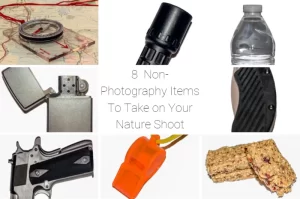 Read more about the article 8 Non-Photography Items To Take on Your Nature Shoot