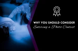Read more about the article Why You Should Consider Entering a Photo Contest