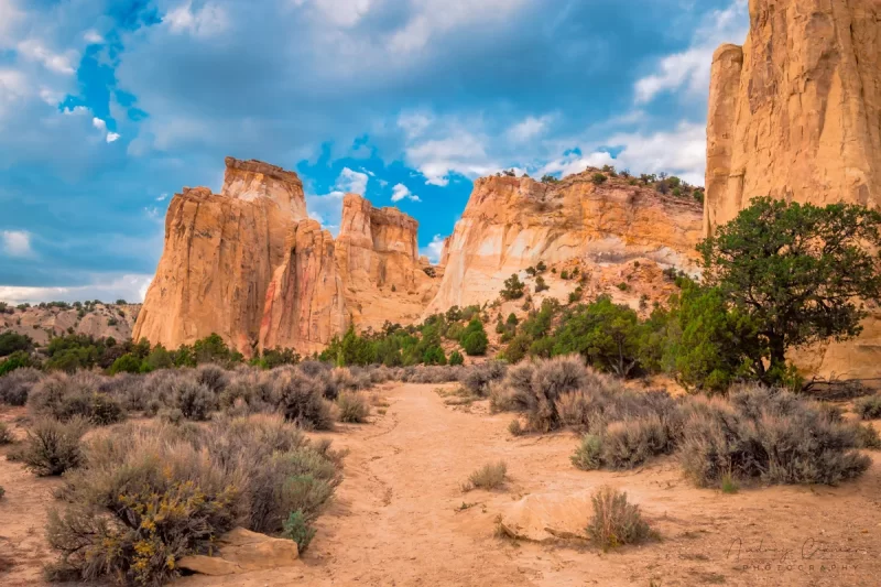 Audrey Cramer Photography's fine art landscape photograph of a path leading into the Kaiparowits formation of Escalante National Monument Utah