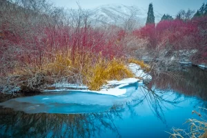 Cramer Imaging's professional quality landscape photograph of icy reflecting stream and red branches at Cherry Springs Nature Area, Caribou National Forest near Pocatello, Bannock, Idaho