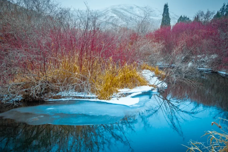 Audrey Cramer Photography's professional quality landscape photograph of icy reflecting stream and red branches at Cherry Springs Nature Area, Caribou National Forest near Pocatello, Bannock, Idaho