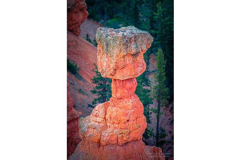 Audrey Cramer Photography's professional quality closeup nature photograph of Thor's Hammer hoodoo in Bryce Canyon National Park, Utah