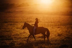 Photo of a woman in silhouette riding horseback in the warm sunlight