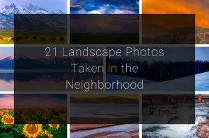 Read more about the article 21 Landscape Photos Taken in the Neighborhood